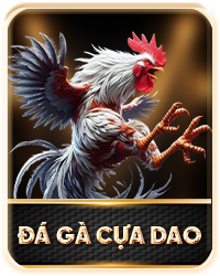 đá gà cựa dao