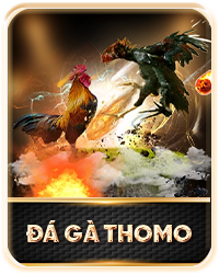 đá gà thomo